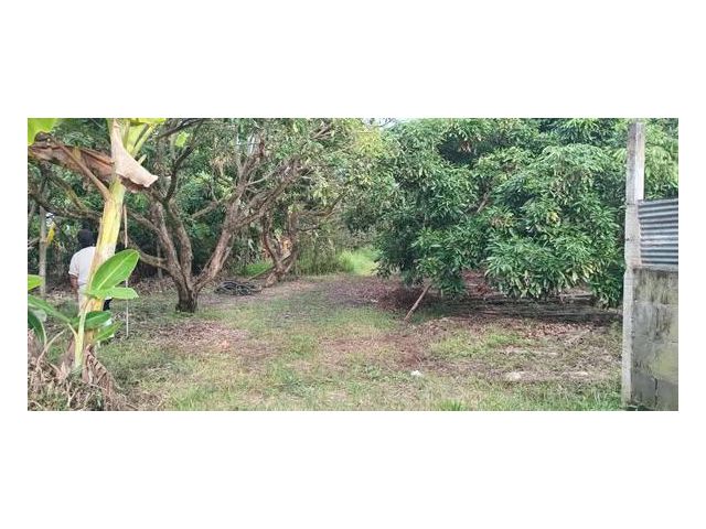 ขายที่ดิน 1 ไร่กว่า ราคาถูกติดถนนทำเลดีน้ำไฟถึง ตรว.2,540 เท่านั้น ถูกสุดในย่านนี้ ปลูกบ้านสวนสวย น้ำไม่ท่วม