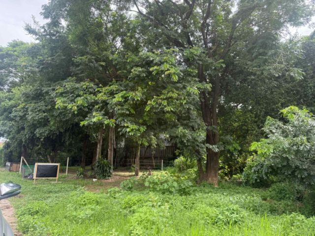 ขายที่ดินตำบลฟ้าฮ่ามน้ำไม่ท่วมติดถนนพร้อมโอน