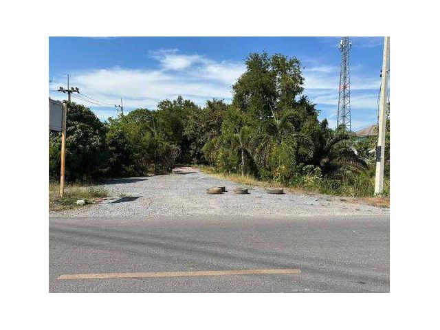 ขายที่ดิน 10 ไร่ ใกล้วัดโบสถ์ ต.บางกระบือ อ.สามโคก จ.ปทุมธานี