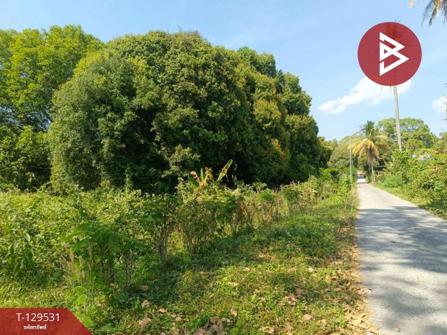 ขายที่ดิน เนื้อที่ 6 ไร่ 2 งาน 25 ตร.วา สาริกา นครนายก