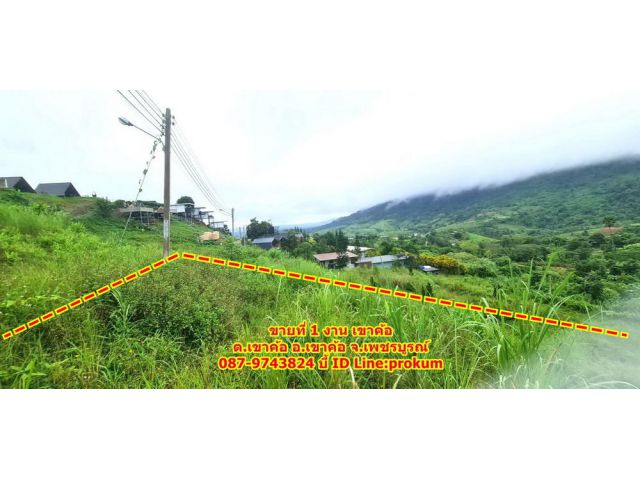 ขายที่ 1 งานเขาค้อ 250,000 บาท