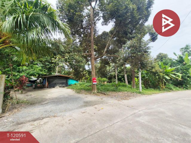 ขายที่ดิน เนื้อที่ 1 ไร่ 1 งาน 98.2 ตร.วา เวียงสระ สุราษฎร์ธานี