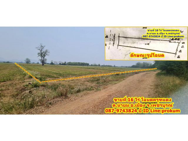 ขายที่ดิน 16 ไร่ ต.นายม โฉนดครุฑแดง ขายไร่ละ 130,000 บาท