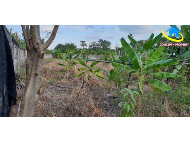 ขายที่ดิน ขนาด 401 ตารางวา ซอยสวนผัก 48 เขตตลิ่งชัน