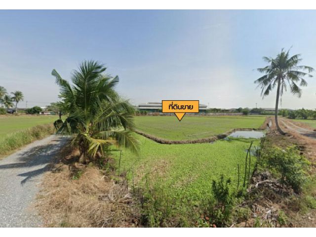 ขายที่ดิน 19 ไร่ 2 งาน 42.5 ตร.ว. ซอยวิปัสสนา ใกล้ สนง.เทศบาลตำบลบางกระทึก