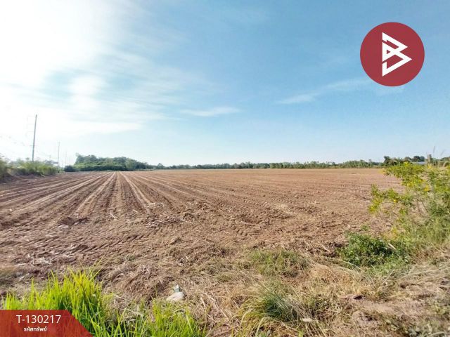 ขายที่ดิน เนื้อที่ 117 ไร่ 1 งาน 64 ตร.วา หนองเรือ ขอนแก่น