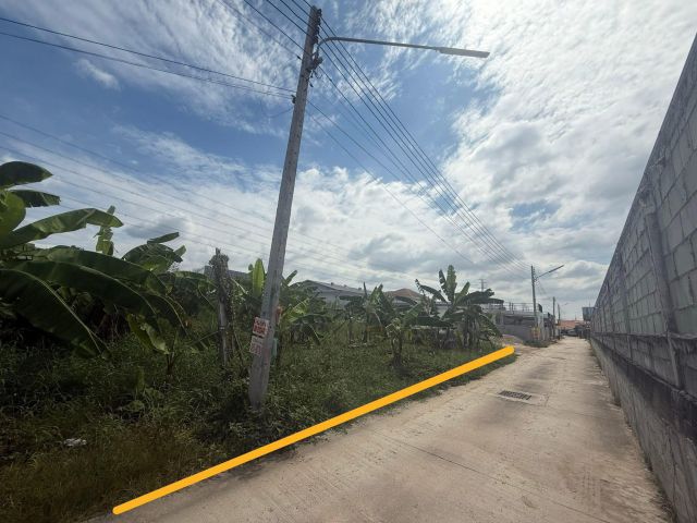 ขายที่ดินหนองปรือ พัทยา 180 ตรว. ถมแล้วซอยชัยพรวิธี14 มาบสอง-ค่ายมวยใกล้ถ.เลียบมอเตอร์เวย์7-400เมตร อ.บางละมุง