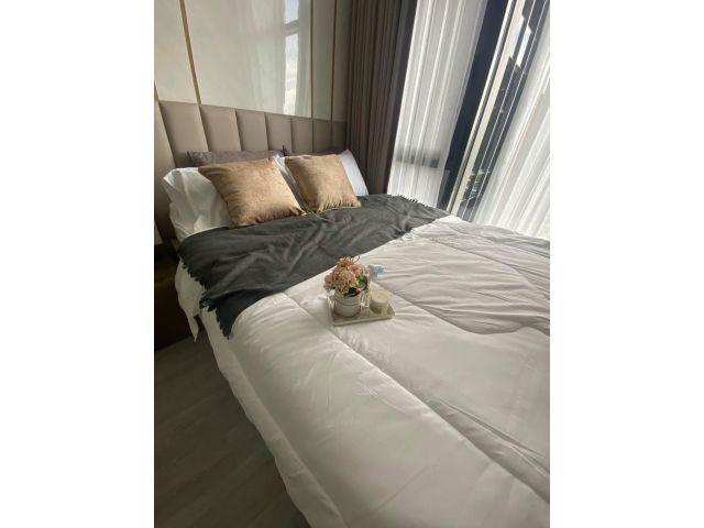 The Line 101 spacious