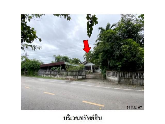 ขายบ้านเดี่ยว ถ.ถีนานนท์ ต.สมเด็จ อ.สมเด็จ จ.กาฬสินธุ์