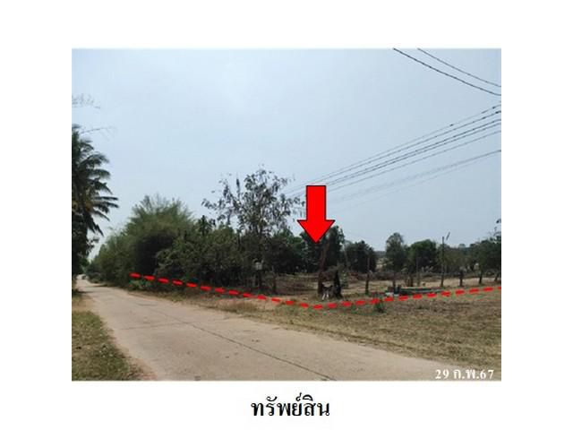 ขายที่ดินว่างเปล่า ต.นิคม อ.สหัสขันธ์ จ.กาฬสินธุ์
