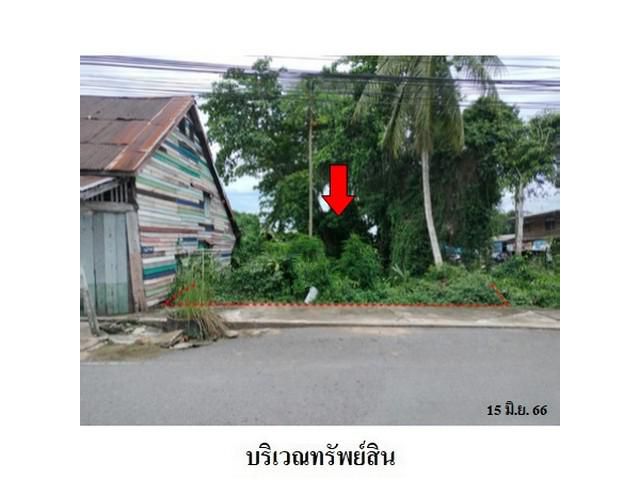 ขายที่ดินว่างเปล่า ต.ท่าข้าม อ.พุนพิน จ.สุราษฎร์ธานี