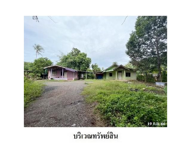 ขายบ้านเดี่ยว ต.ท่าโรงช้าง อำเภอ พุนพิน จังหวัด สุราษฎร์ธานี