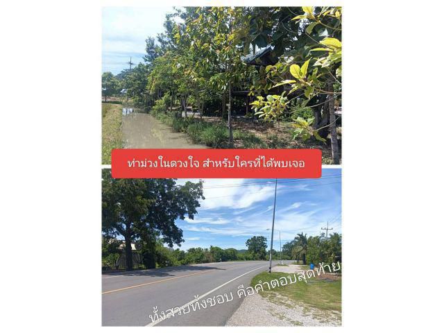 อยากให้จำ แปลงที่พอใจแล้วไปต่อ มีให้ครบเครื่องเรื่องที่อยู่อาศัยและที่ทำกิน ที่สุดของความชอบคือคำตอบอันประเสริฐ