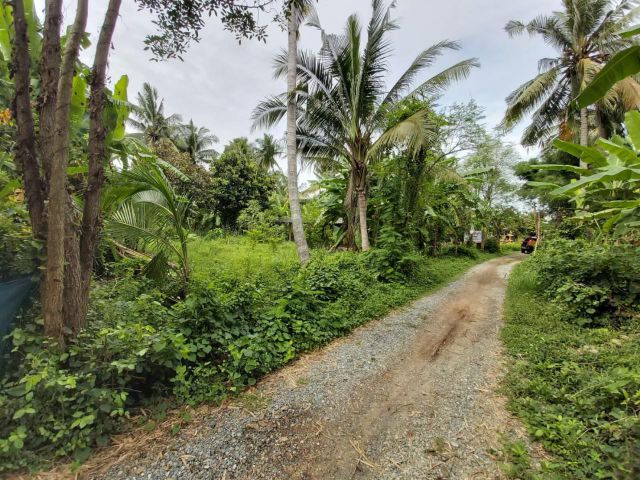 ขายที่ดินเปล่าราคาถูกๆ ราคาต่อรองได้ รับนายหน้า