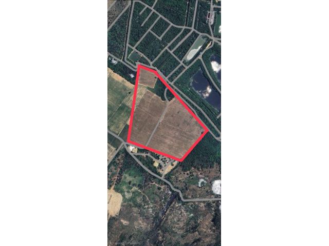 #ขายที่ดินผังสีเหลืองอ่อน บ้านบึง ชลบุรี 84ไร่ 2งาน 97ตารางวา  อยู่ถนนสายบ้านบึง - บ้านค่าย (ถนนสาย 3138) ตำบลคลองถิ่ว