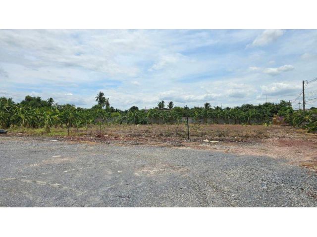 PK914 ให้เช่าที่ดินทำเลทองพุทธมณฑลสาย 7