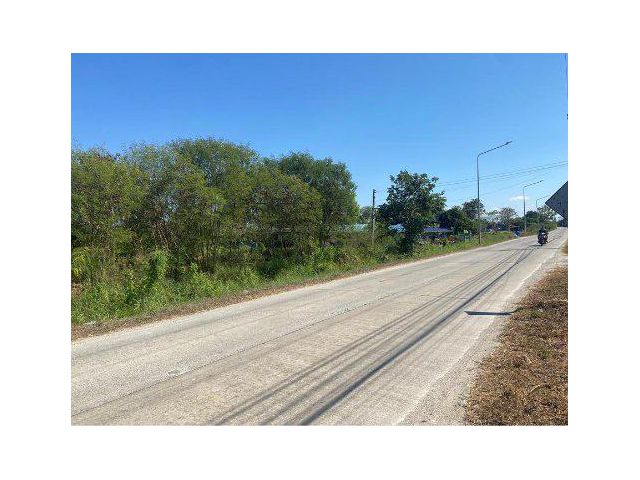 ขายที่ดิน 5 ไร่ ต.บางนาง อ.พานทอง จ.ชลบุรี