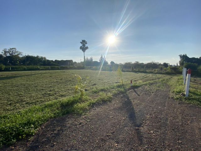 ที่ดินกาญจนบุรี แบ่งขาย ทำเลดี ราคาคุ้ม