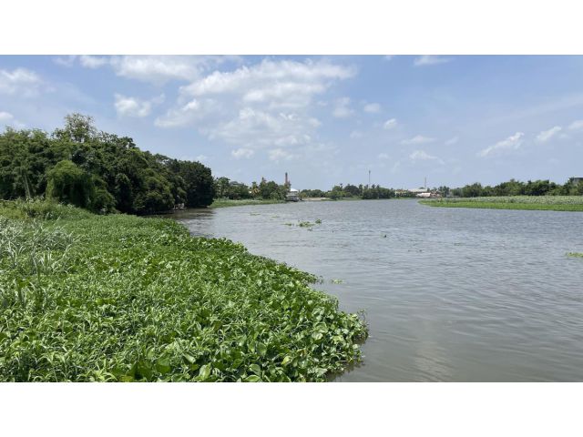 ที่ดินติดแม่น้ำท่าจีน 3-2-96 ไร่ ถ.พุทธมณฑลสาย 7 ท่าตลาด สามพราน วิวโค้งแม่น้ำ สวยโดนใจ