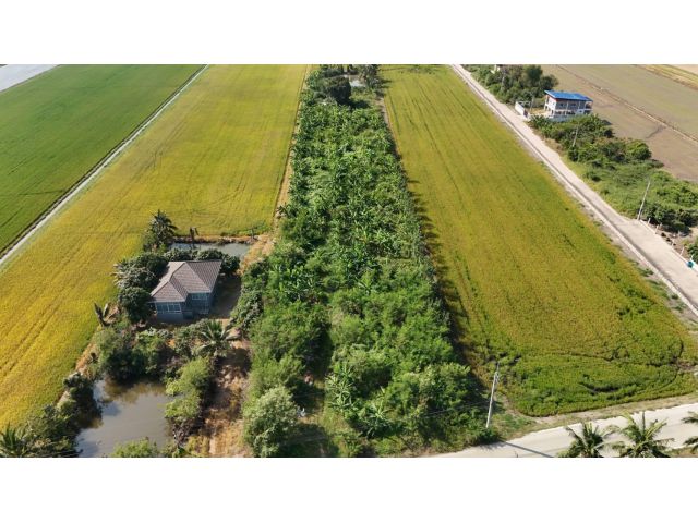 ขายที่ดินถมแล้ว 4-3-85 ไร่ ติดถนนซอย 35 เมตร ลาดหลุมแก้ว ปทุมธานี