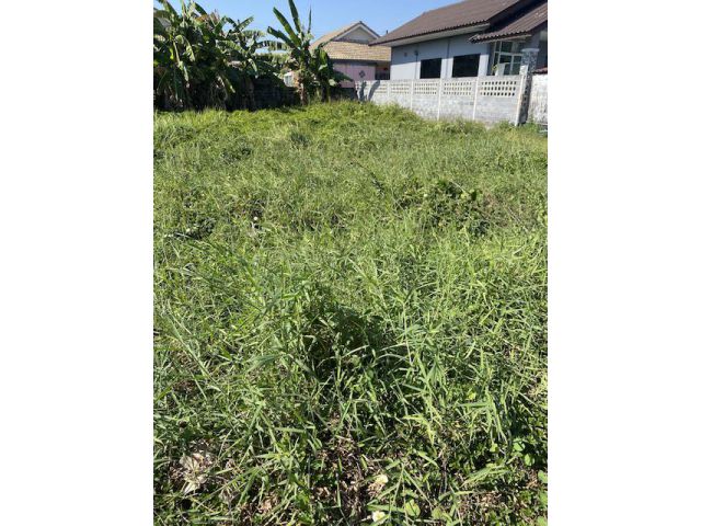 ขายที่ดินแบ่ง2ล๊อก70-74ตรว อยู่ บ้านดอน เมือง ระยอง