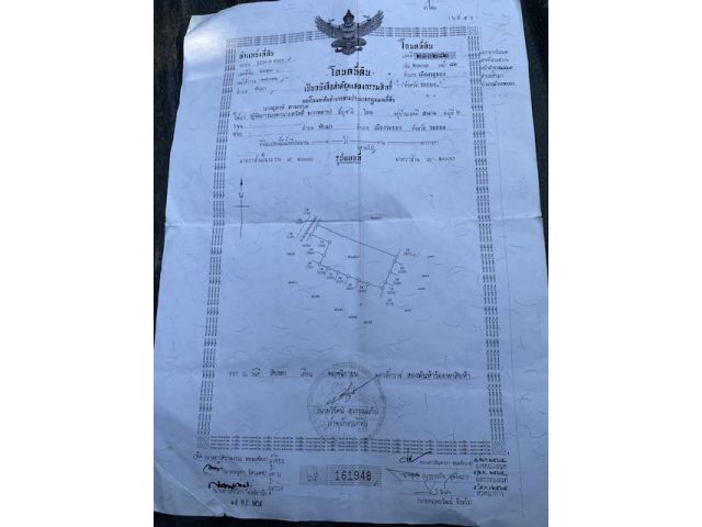 ขายที่ดินสวน3ไร่ อยู่ทับมา เมือง ระยอง