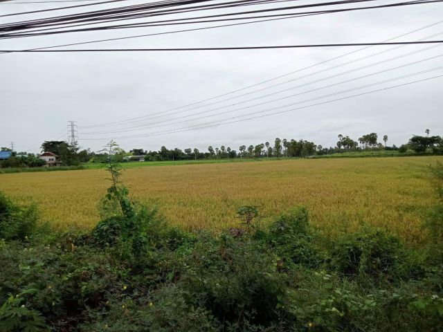 L1357 ขายที่ดินติดถนนเพชรเกษม 7 ไร่ เมืองเพชรบุรี