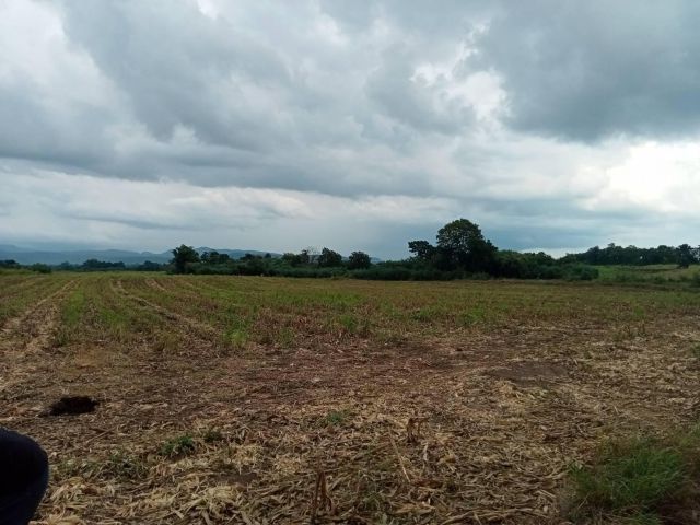 L1358 ขายที่ดินวิวภูเขาสวย 16 ไร่ โคกสำโรง ลพบุรี