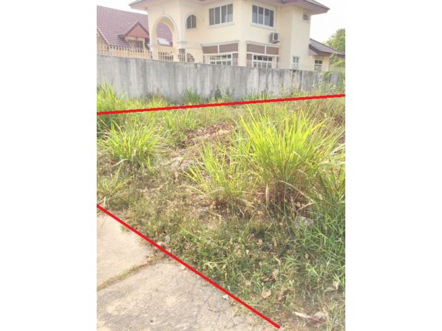 เช่าที่ดิน 100 ตร.วา. ม.รังสิต 800 ม. หลักหก MRT คลองรังสิต