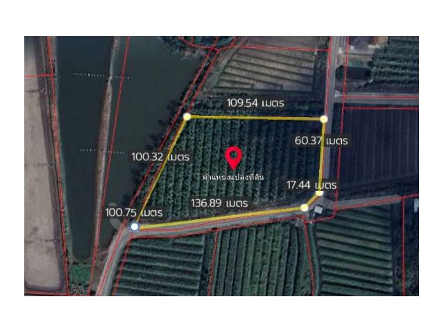 ที่ดินโคกพระเจดีย์ ที่ดินนครปฐม ที่ดินนครชัยศรี 7 ไร่ ทำสวนมะพร้าว ใกล้สนามชัยหาดทรายขาวทะเลนครปฐม