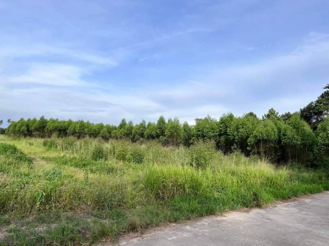 L1364 ขายที่ดินใกล้ถนน.344  7 ไร่ บ้านบึง ชลบุรี