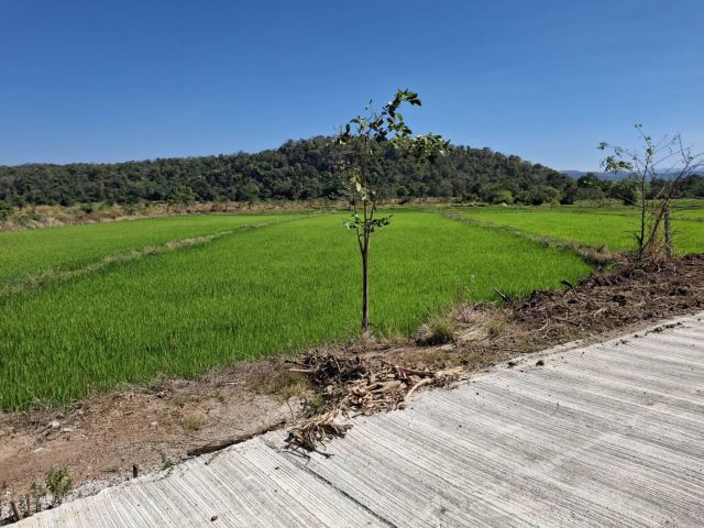 ขายด่วน!!!!! ที่ดินแปลงเล็กโฉนด 5-3-55 ไร่ ที่ 2 แปลง วิวภูเขา ติดน้ำ ต.ชำผักแพว อ.แก่งคอย จ.สระบุรี ขายยกแปลง 2,500,000