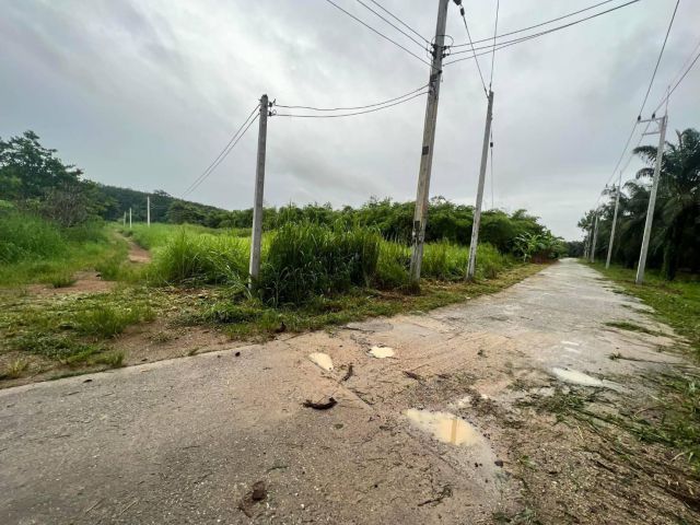 L1366 ขายที่ดินใกล้ถนน.344  1 ไร่ บ้านบึง ชลบุรี