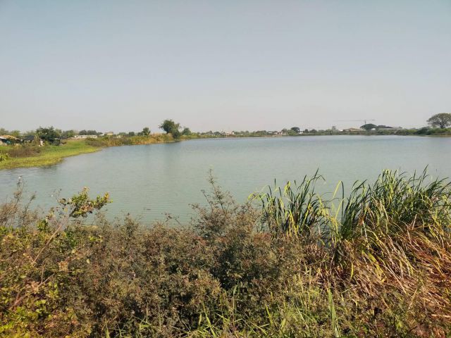 ให้เช่าที่ดิน+บ่อเลี้ยงปลา 84ไร่ไร่ละ3500-/ปี อ.ดอนตูม จ.นครปฐม.ค่านายหน้าไร่ละ1500