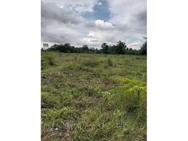 L1371 ขายที่ดินสวยทำเลดี 8 ไร่ เขาฉกรรจ์ สระแก้ว