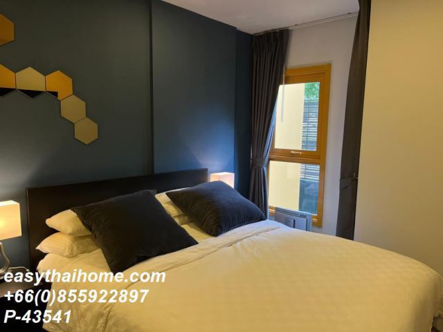 P-43541 ให้เช่า คอนโด เดอะ เบส สุขุมวิท 50 แขวงพระโขนงเหนือ เขตคลองเตย กรุงเทพมหานครพร้อมอยู่ ราคาถูก