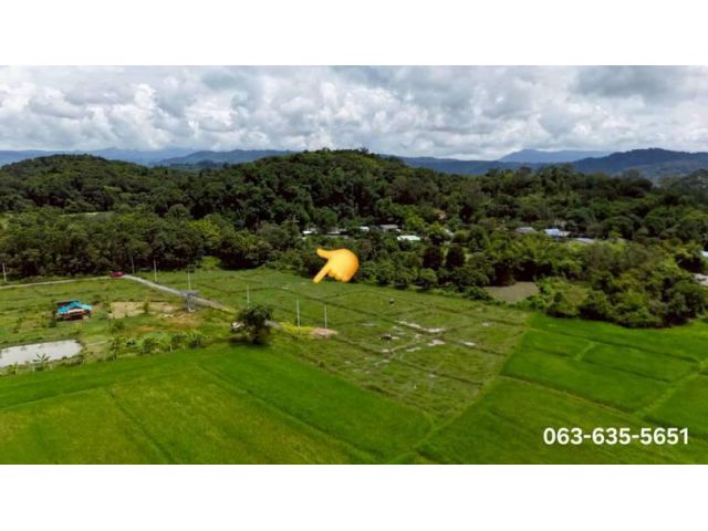 ขายที่สวย ถูก ดี ที่ดินเชิงเขา ต.ศรีนาวา อ.เมืองนครนายก