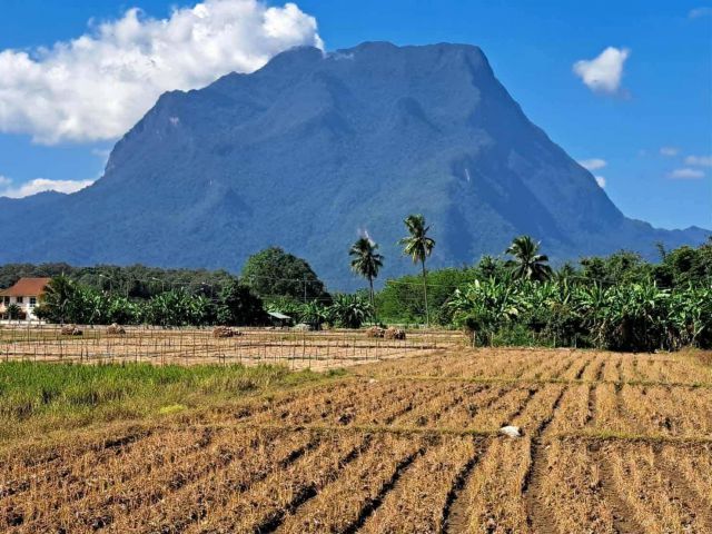 ขายที่นาดอนวิวดอยหลวงเชียงดาวโฉนดพร้อมโอน