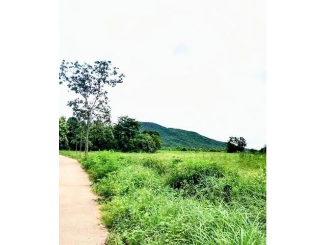 ที่ราบริมชายเขา บรรยากาศดี ไม่มีน้ำท่วม อุตรดิตถ์