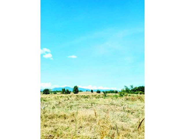 ที่ราบบนเนิน วิวสวย กลางชุมชน อุตรดิตถ์