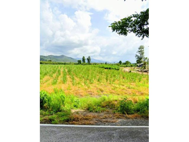 ที่ราบบนเนิน วิวสวย ติดถนนลาดยาง ราคาถูก อุตรดิตถ์