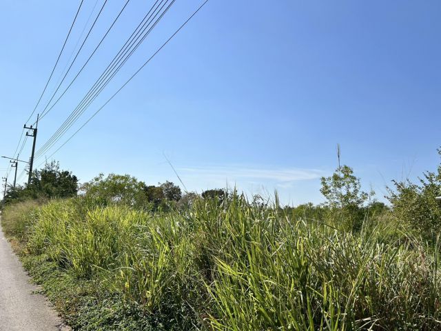 ขายที่ดินสำหรับทำบ้านสวน