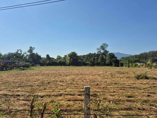 ขายที่ดินเปล่าใกล้ทะเลหาดสวนสนจ.ระยองเนื้อที่1ไร่1งาน52ตรว.ขายราคา2.000.000ลบ