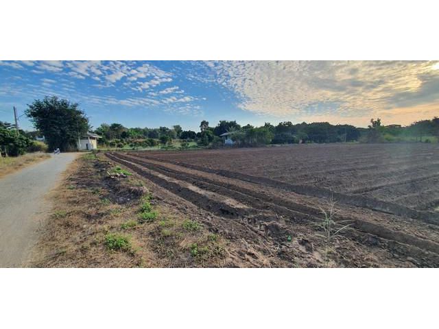 ขายที่ดิน 1-2-4ไร่ 1.51ล. วิวเขา ต.ทุ่งปี้ อ.แม่วาง เชียงใหม่