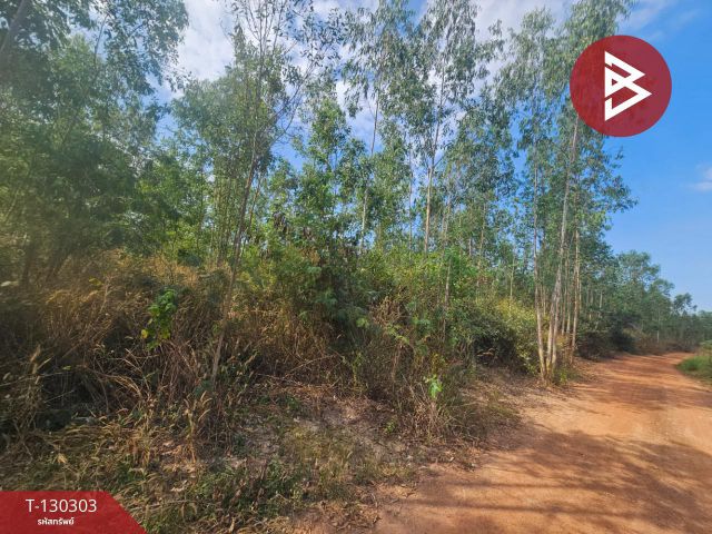 ขายที่ดิน เนื้อที่ 14 ไร่ 1 งาน 86 ตร.วา ขาณุวรลักษบุรี กำแพงเพชร