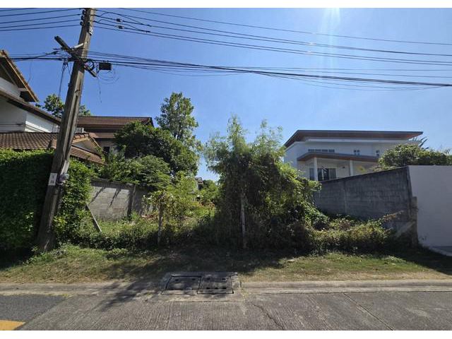 ขายที่ดินรามอินทรา 61 ถมแล้ว 61 ตร.ว ใกล้รถไฟฟ้าสายสีชมพู ราคาดีม