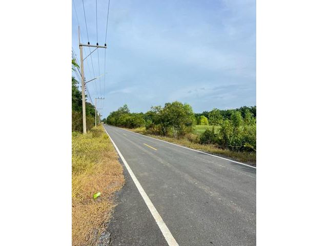 ถูกจัด ที่ดินใกล้กรุงฯ ติดถนนลาดยาง 200ตรว.7แสน฿ คลอง9หนองเสือ ปท