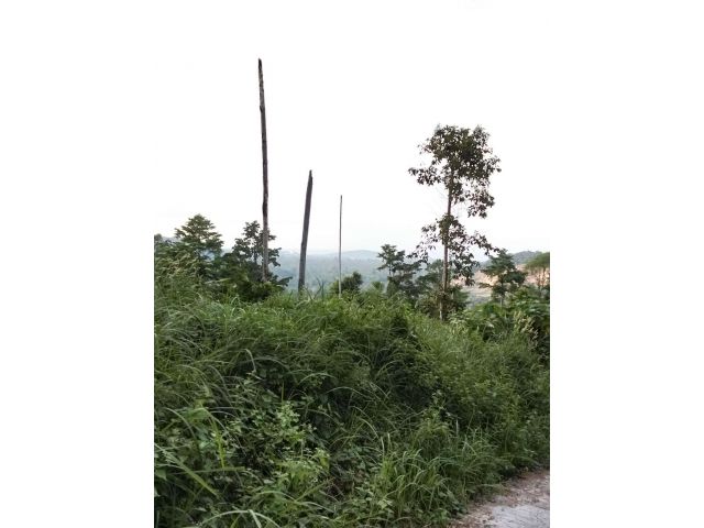 ขายที่ดินซีวิวเกาะสมุย ต.แม่น้ำ โฉนด6ไร่เศษ