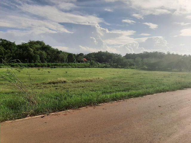 ขายที่ดินโฉนด 2 แปลง ต.วังไทร บ้านภูเงิน เนื้อที่ 6 ไร่เศษ และ 4 ไร่