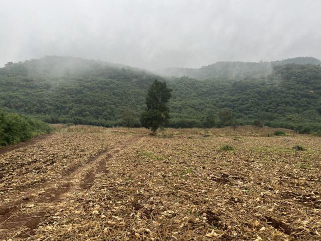 ที่ดินแบ่งแปลงวิวภูเขา ต.ขนงพระ บ้านคลองหินลาด